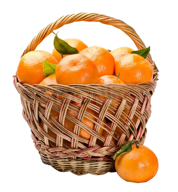 Fruits basket