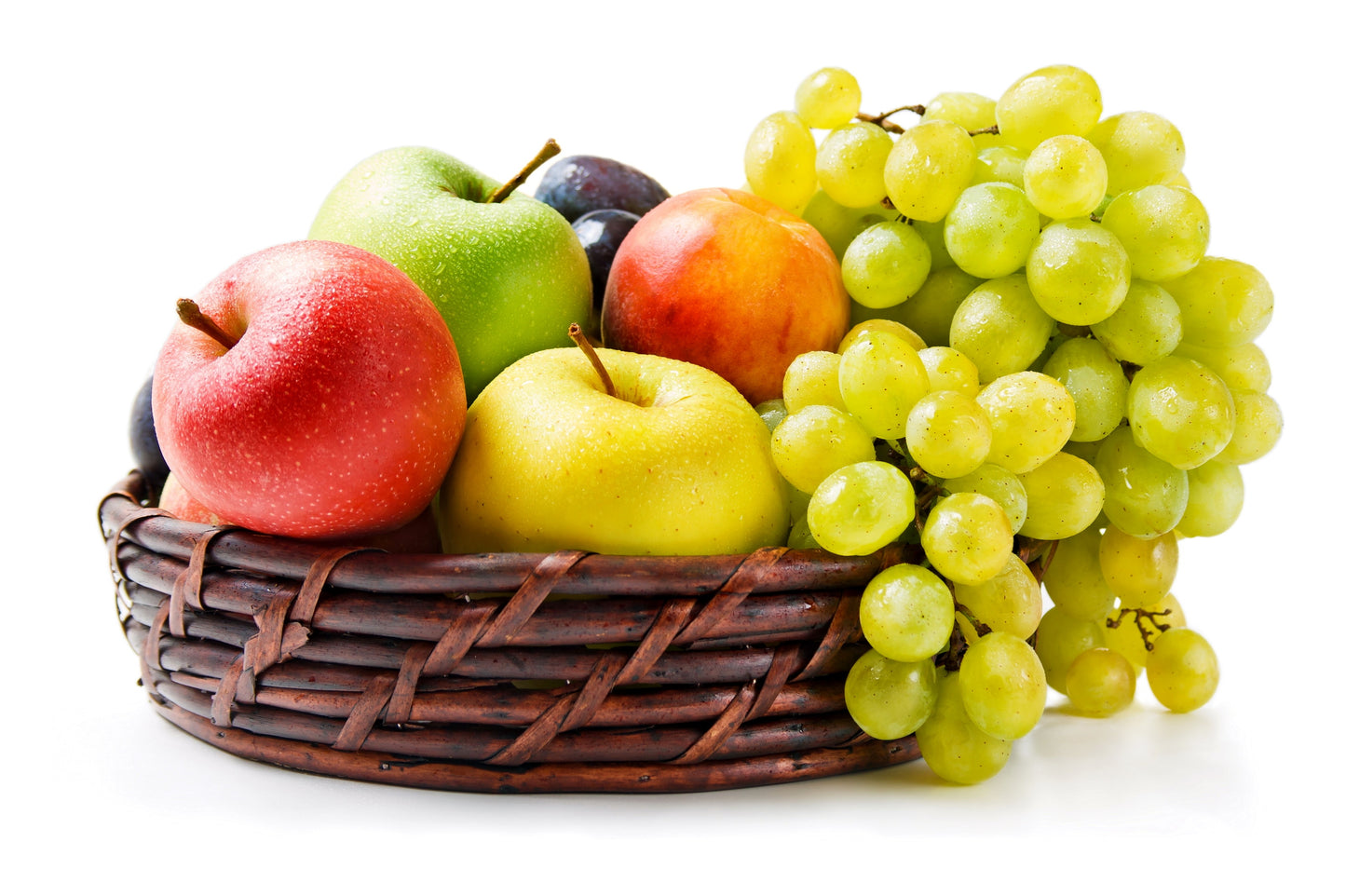 Melon, Citrus Fruit